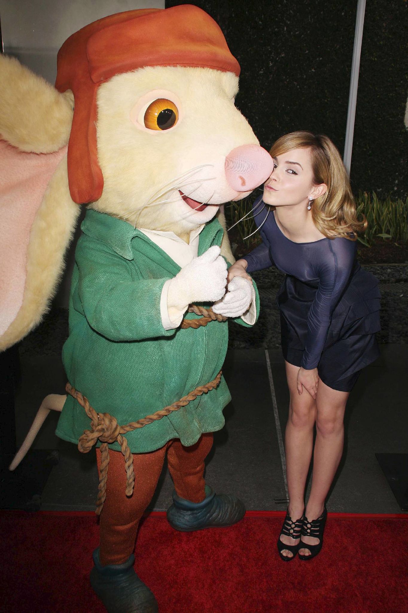 158.jpg 158.jpg