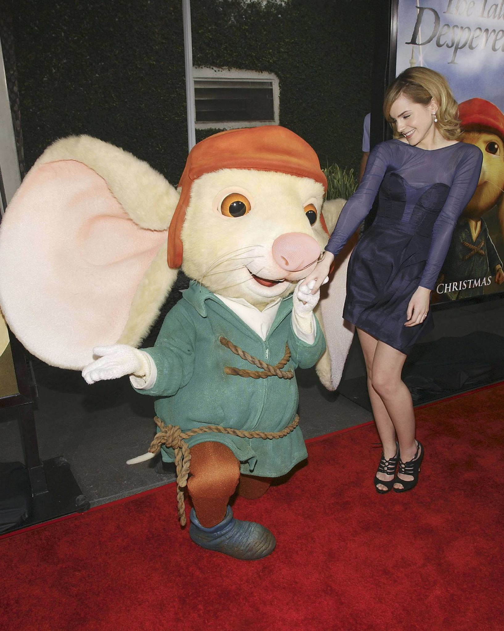 159.jpg 159.jpg