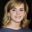 Filename=303.jpg
Filesize=331KiB
Dimensions=1420x2047
Date added=Jun 14, 2016 303.jpg