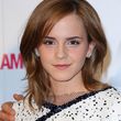 Filename=087.jpg
Filesize=442KiB
Dimensions=1555x2048
Date added=Jun 15, 2016 087.jpg