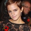 Filename=084.jpg
Filesize=347KiB
Dimensions=1365x2048
Date added=Jun 15, 2016 084.jpg