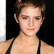 Filename=038.jpg
Filesize=33KiB
Dimensions=342x480
Date added=Jun 15, 2016 038.jpg