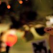 EmmaWatsonFan-nl_2011PeopleTree0047.jpg