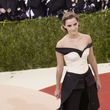 EmmaWatsonFan-nl_2016CNN0117.jpg