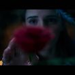 EmmaWatsonFan-dot-nl_2017ABCNews0395.jpg