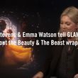 EmmaWatsonFan-dot-NL_BeautyAndtheBeastPressJunket-GlamourUK0002.jpg