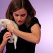 Filename=EmmaWatsonFan-nl_2017Buzzfeed0057.jpg
Filesize=363KiB
Dimensions=1920x1080
Date added=Jul 27, 2017 EmmaWatsonFan-nl_2017Buzzfeed0057.jpg