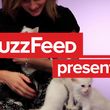 Filename=EmmaWatsonFan-nl_2017Buzzfeed0239.jpg
Filesize=460KiB
Dimensions=1920x1080
Date added=Jul 27, 2017 EmmaWatsonFan-nl_2017Buzzfeed0239.jpg