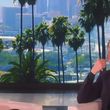 Filename=EmmaWatsonFan-nl_2017Ellen0323.jpg
Filesize=461KiB
Dimensions=1280x720
Date added=Jul 27, 2017 EmmaWatsonFan-nl_2017Ellen0323.jpg