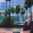 EmmaWatsonFan-nl_2017Ellen0325.jpg