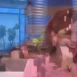 EmmaWatsonFan-nl_2017Ellen0335.jpg