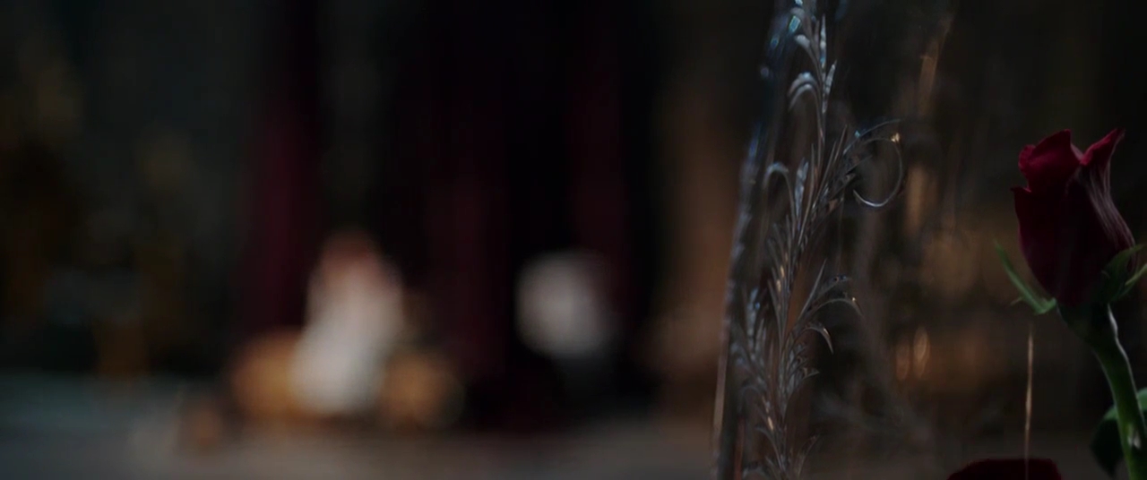 EmmaWatsonFan-dot-NL_BeautyAndtheBeast3669.jpg