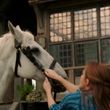 Filename=EmmaWatsonFan-dot-NL_BeautyAndtheBeast1282.jpg
Filesize=344KiB
Dimensions=1280x536
Date added=Jul 26, 2017 EmmaWatsonFan-dot-NL_BeautyAndtheBeast1282.jpg