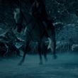 Filename=EmmaWatsonFan-dot-NL_BeautyAndtheBeast3132.jpg
Filesize=330KiB
Dimensions=1280x536
Date added=Jul 26, 2017 EmmaWatsonFan-dot-NL_BeautyAndtheBeast3132.jpg