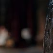 EmmaWatsonFan-dot-NL_BeautyAndtheBeast3667.jpg