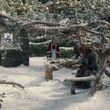 Filename=EmmaWatsonFan-dot-NL_BeautyAndtheBeast4086.jpg
Filesize=527KiB
Dimensions=1280x536
Date added=Jul 26, 2017 EmmaWatsonFan-dot-NL_BeautyAndtheBeast4086.jpg