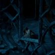 EmmaWatsonFan-dot-NL_BeautyAndtheBeast6096.jpg
