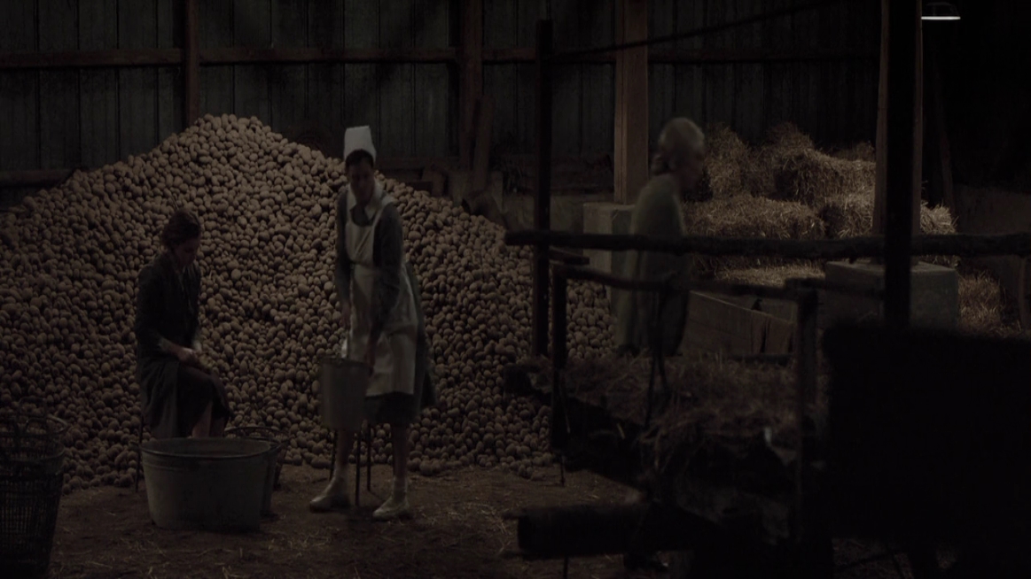 EmmaWatsonFan-dot-NL-ColoniaDignidad4672.jpg