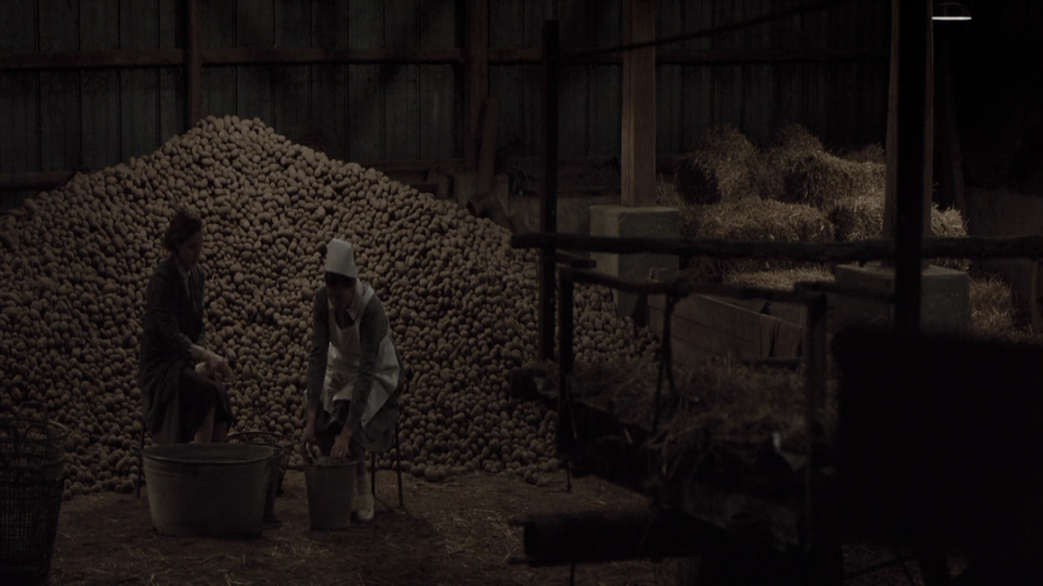 EmmaWatsonFan-dot-NL-ColoniaDignidad4674.jpg