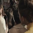 EmmaWatsonFan-dot-NL-ColoniaDignidad0261.jpg