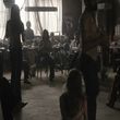 EmmaWatsonFan-dot-NL-ColoniaDignidad1203.jpg