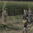 EmmaWatsonFan-dot-NL-ColoniaDignidad2623.jpg