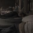 EmmaWatsonFan-dot-NL-ColoniaDignidad3099.jpg