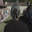EmmaWatsonFan-dot-NL-ColoniaDignidad3681.jpg