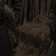 EmmaWatsonFan-dot-NL-ColoniaDignidad4074.jpg
