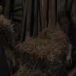 EmmaWatsonFan-dot-NL-ColoniaDignidad4075.jpg