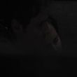 EmmaWatsonFan-dot-NL-ColoniaDignidad5488.jpg