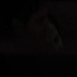 EmmaWatsonFan-dot-NL-ColoniaDignidad5491.jpg