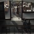 EmmaWatsonFan-dot-NL-ColoniaDignidad5520.jpg