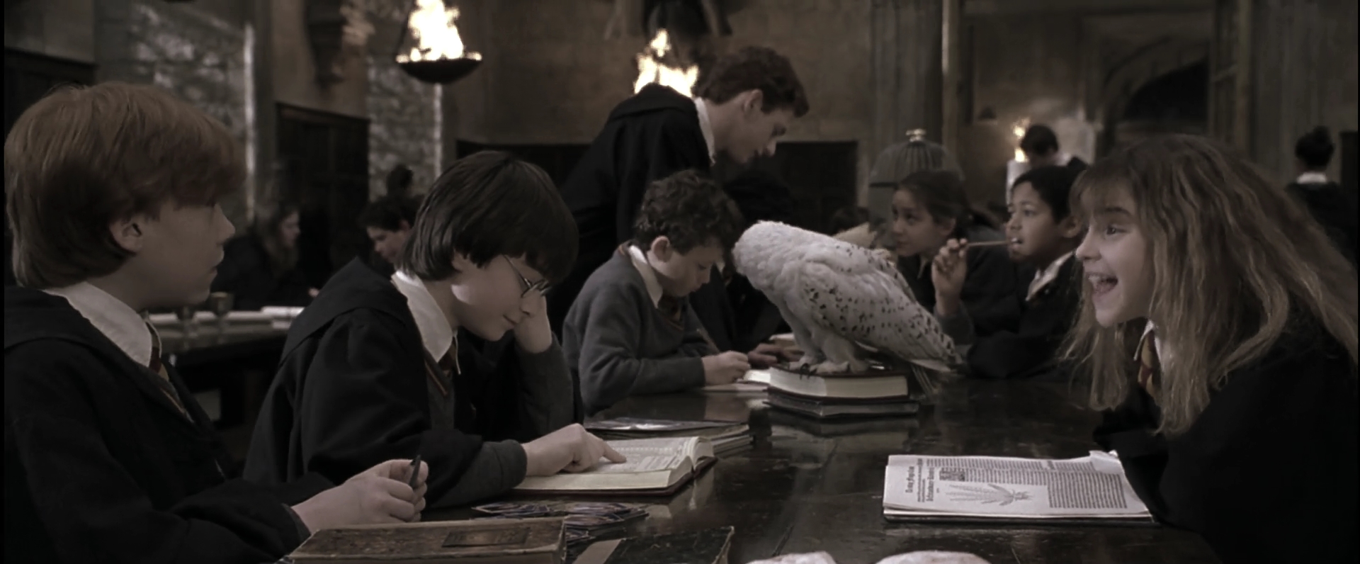 EmmaWatsonFan-dot-nl_HarryPotterandthePhilosophersStone3764.jpg