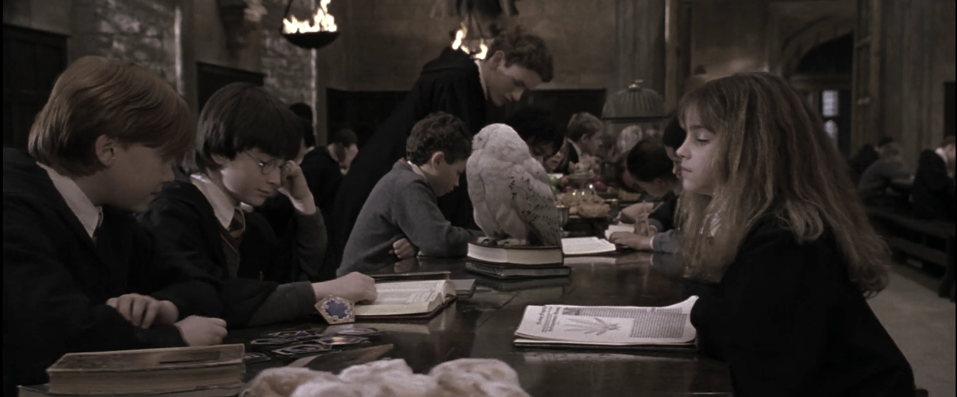 EmmaWatsonFan-dot-nl_HarryPotterandthePhilosophersStone3792.jpg