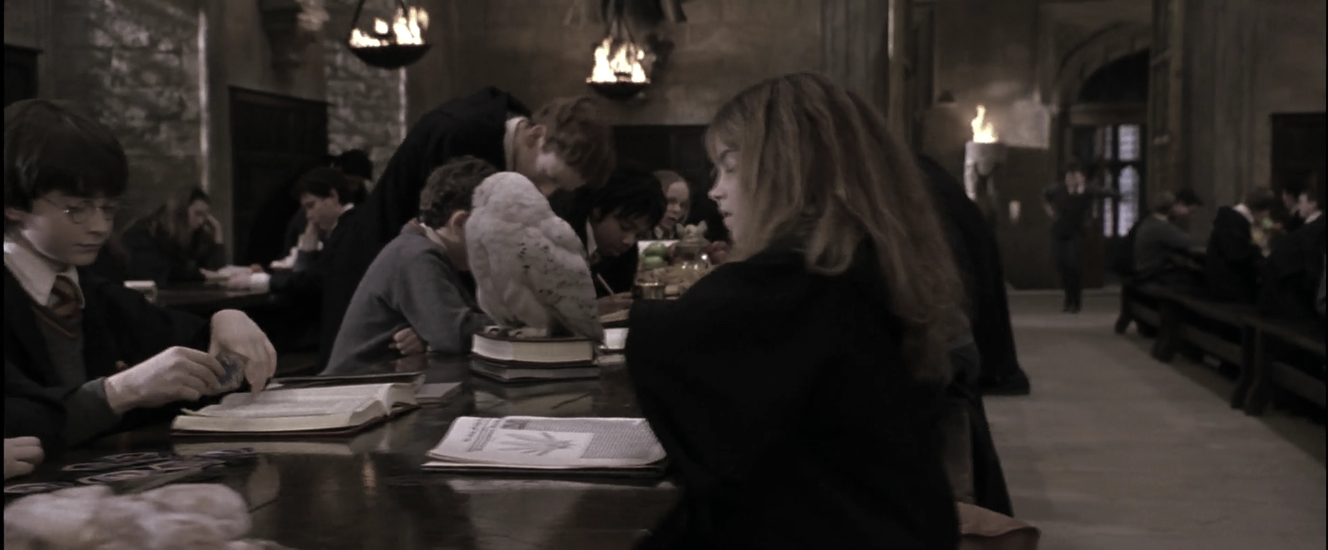 EmmaWatsonFan-dot-nl_HarryPotterandthePhilosophersStone3793.jpg