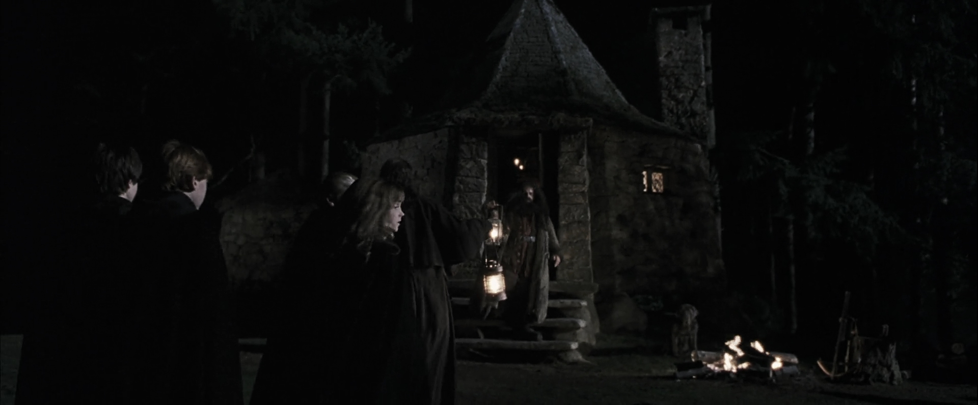 EmmaWatsonFan-dot-nl_HarryPotterandthePhilosophersStone4182.jpg