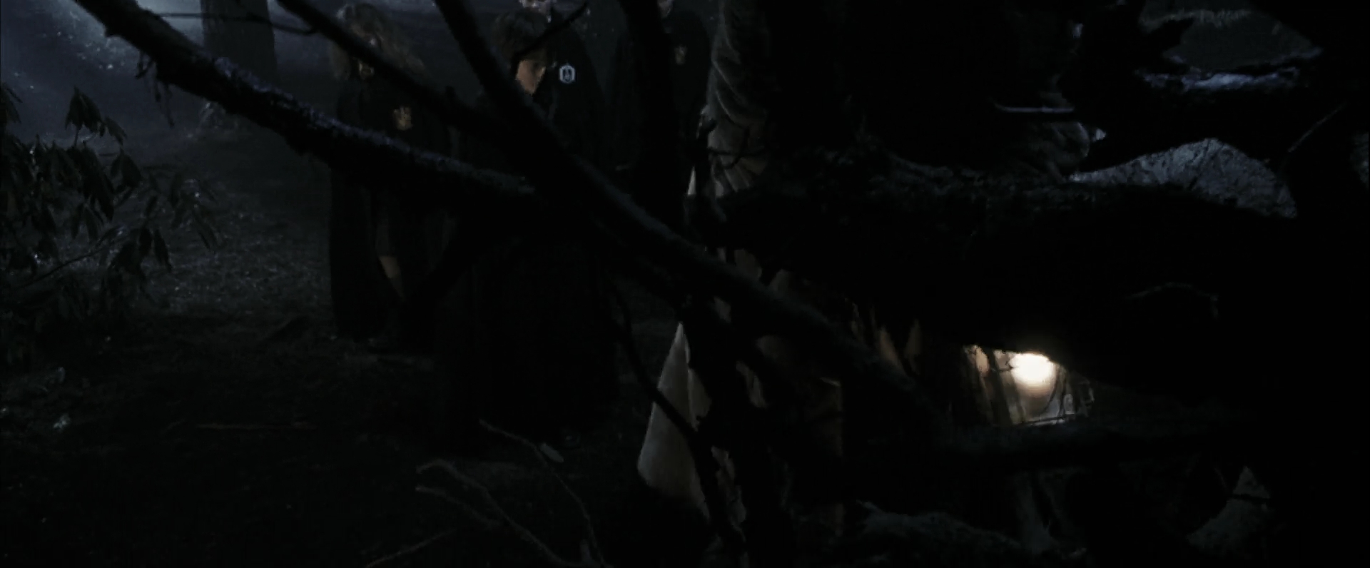 EmmaWatsonFan-dot-nl_HarryPotterandthePhilosophersStone4278.jpg