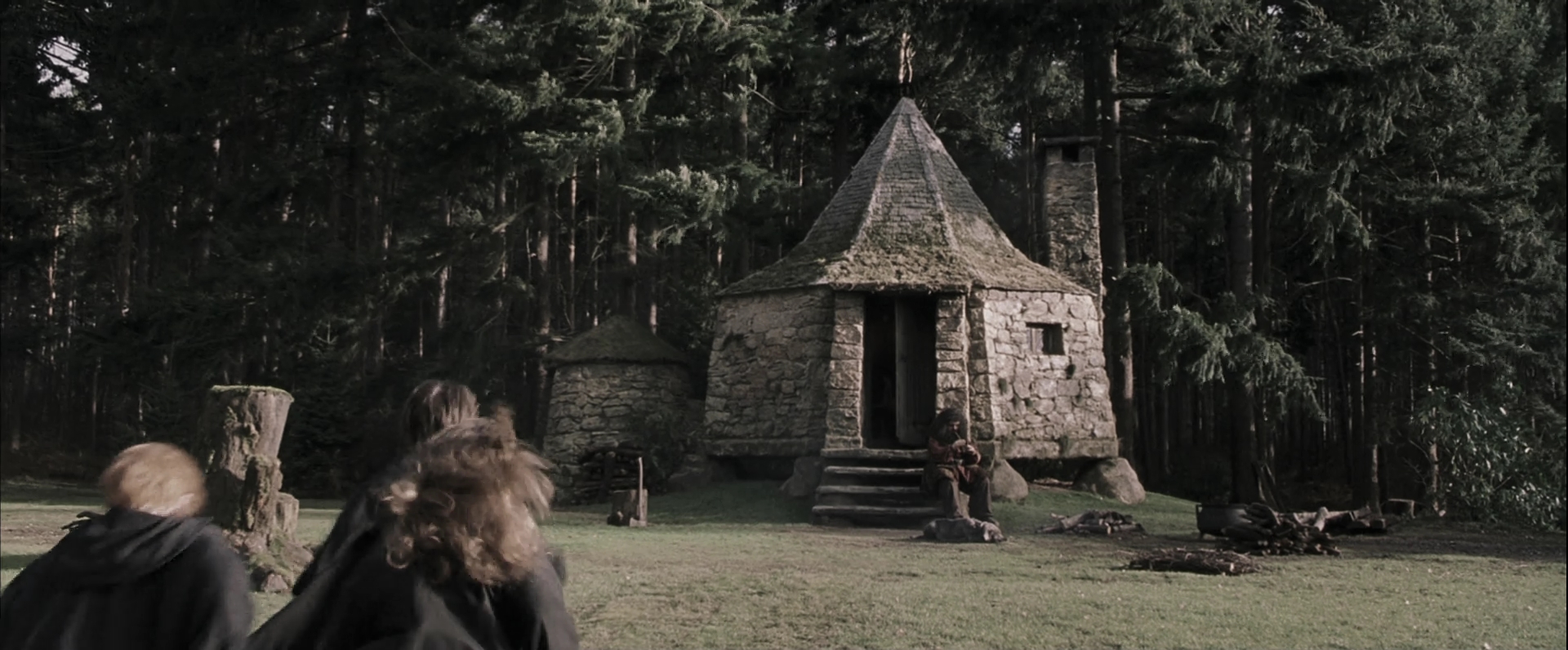 EmmaWatsonFan-dot-nl_HarryPotterandthePhilosophersStone4638.jpg