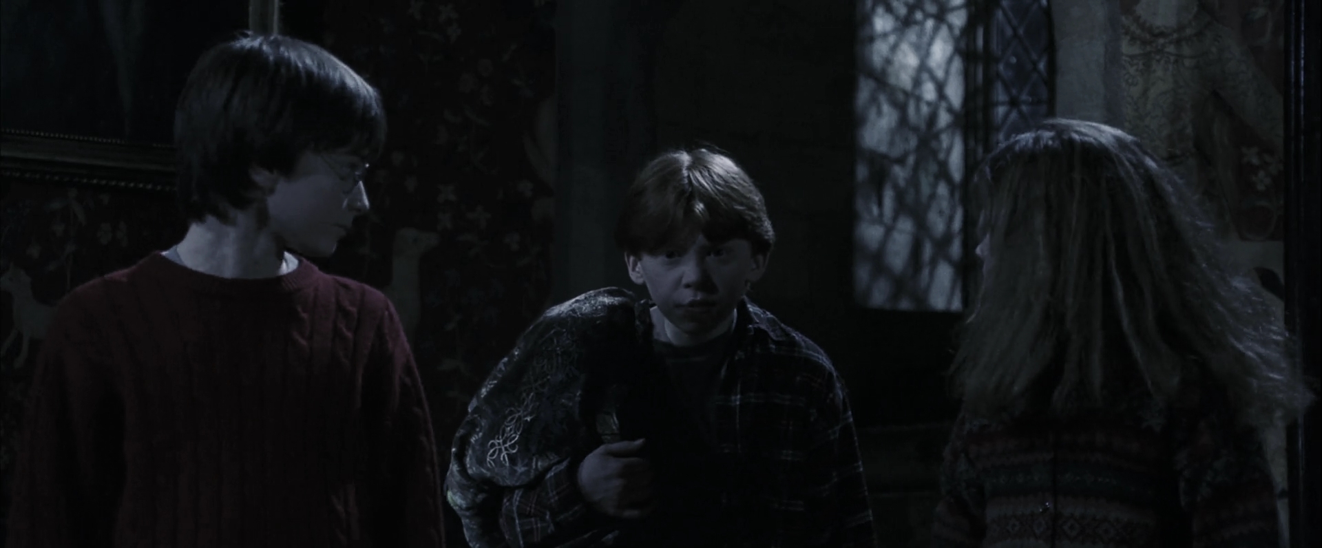 EmmaWatsonFan-dot-nl_HarryPotterandthePhilosophersStone4801.jpg