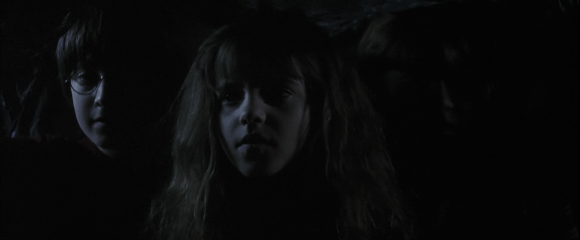 EmmaWatsonFan-dot-nl_HarryPotterandthePhilosophersStone4852.jpg EmmaWatsonFan-dot-nl_HarryPotterandthePhilosophersStone4852.jpg