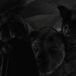 Filename=EmmaWatsonFan-dot-nl_HarryPotterandthePhilosophersStone1664.jpg
Filesize=432KiB
Dimensions=1920x796
Date added=Jan 01, 2016 EmmaWatsonFan-dot-nl_HarryPotterandthePhilosophersStone1664.jpg