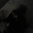 EmmaWatsonFan-dot-nl_HarryPotterandthePhilosophersStone1693.jpg