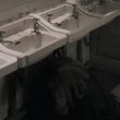 Filename=EmmaWatsonFan-dot-nl_HarryPotterandthePhilosophersStone2136.jpg
Filesize=537KiB
Dimensions=1920x796
Date added=Jan 01, 2016 EmmaWatsonFan-dot-nl_HarryPotterandthePhilosophersStone2136.jpg