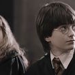Filename=EmmaWatsonFan-dot-nl_HarryPotterandthePhilosophersStone2340.jpg
Filesize=598KiB
Dimensions=1920x796
Date added=Jan 01, 2016 EmmaWatsonFan-dot-nl_HarryPotterandthePhilosophersStone2340.jpg