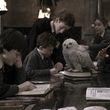 EmmaWatsonFan-dot-nl_HarryPotterandthePhilosophersStone3761.jpg