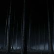 Filename=EmmaWatsonFan-dot-nl_HarryPotterandthePhilosophersStone4258.jpg
Filesize=406KiB
Dimensions=1920x796
Date added=Jan 01, 2016 EmmaWatsonFan-dot-nl_HarryPotterandthePhilosophersStone4258.jpg
