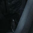 EmmaWatsonFan-dot-nl_HarryPotterandthePhilosophersStone5073.jpg