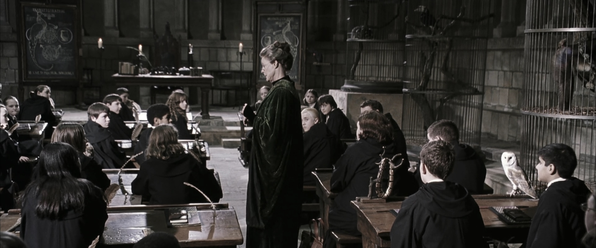 EmmaWatsonFan-dot-nl_HarryPotterandtheChamberOfSecrets1916.jpg EmmaWatsonFan-dot-nl_HarryPotterandtheChamberOfSecrets1916.jpg