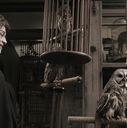 EmmaWatsonFan-dot-nl_HarryPotterandtheChamberOfSecrets0021.jpg